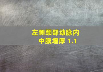 左侧颈部动脉内中膜增厚 1.1